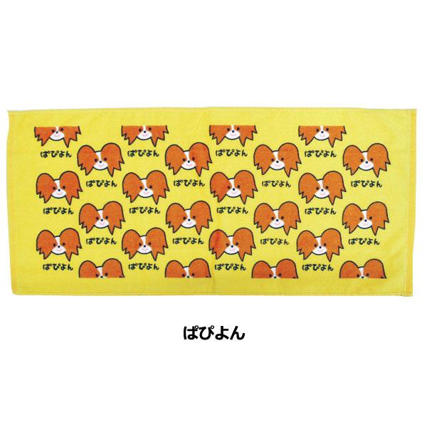 わんわんワールドぱぴよん